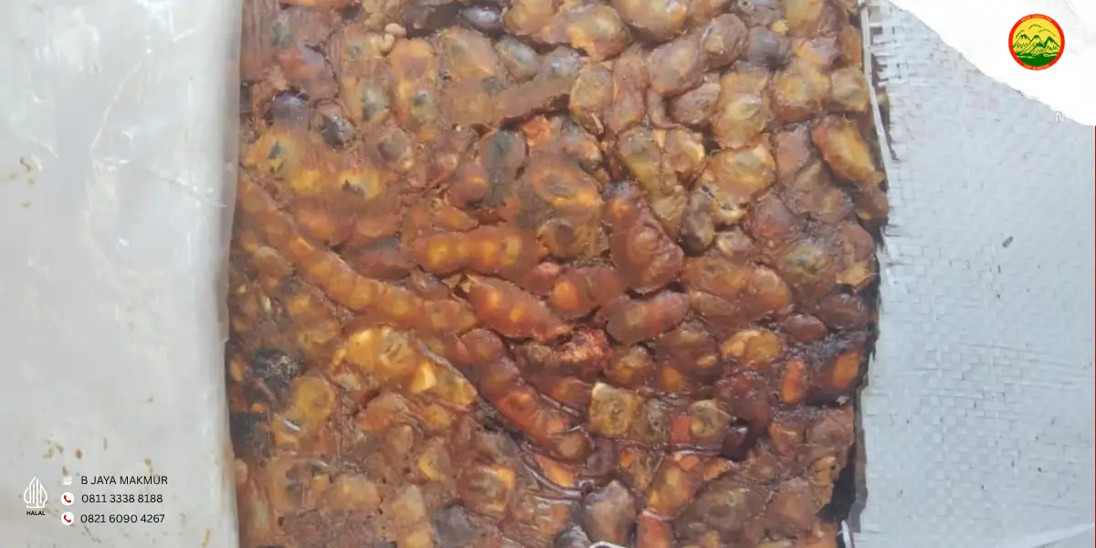 Asam biji terbaik