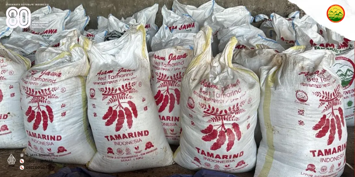 Agen Asam Jawa Semarang